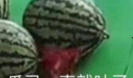 免费带你吃瓜,揭秘热门事件背后的真相